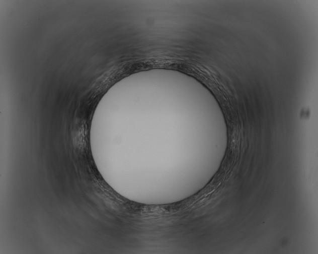 X0000091710866200708240954