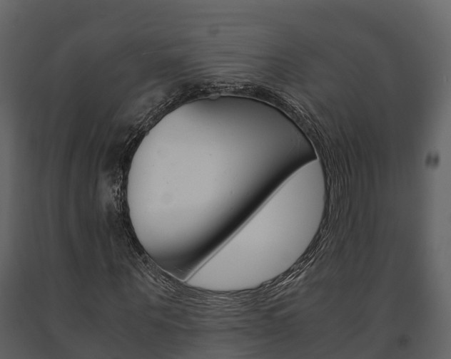 X0000091710867200708240954