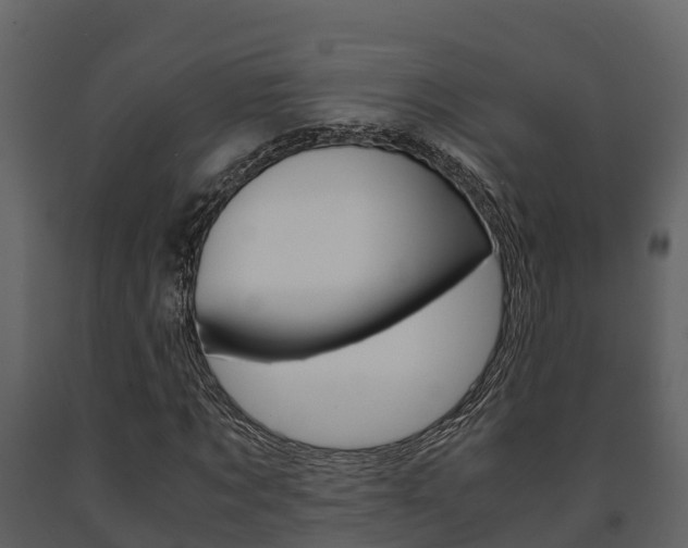 X0000091710869200708240954