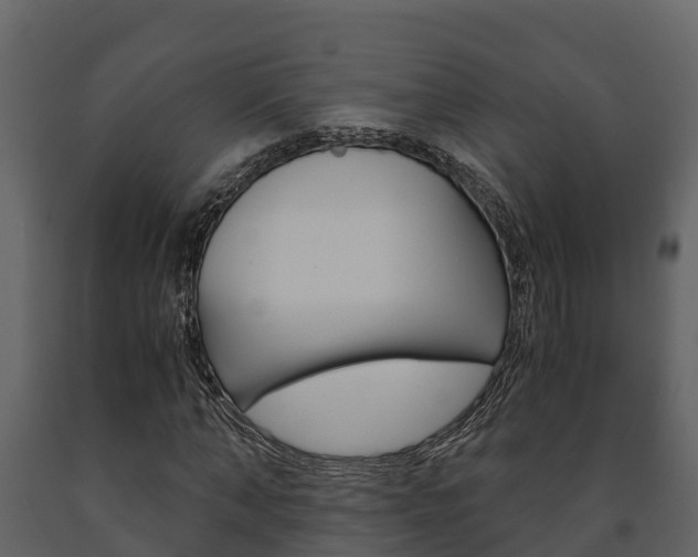 X0000091710870200708240954