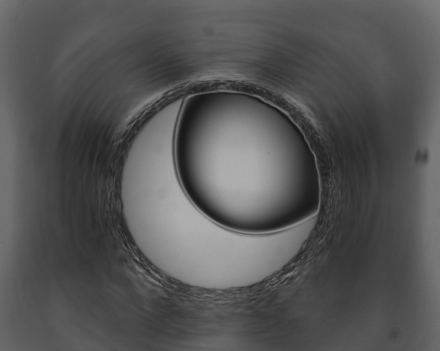 X0000091710872200708240954
