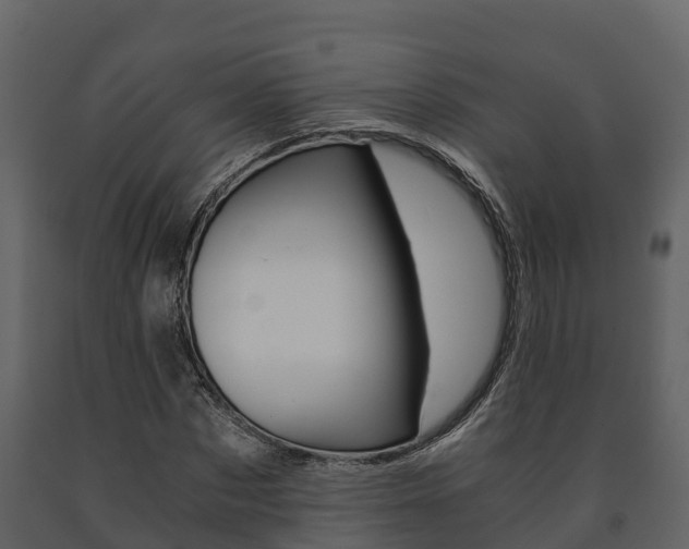 X0000091710873200708240954