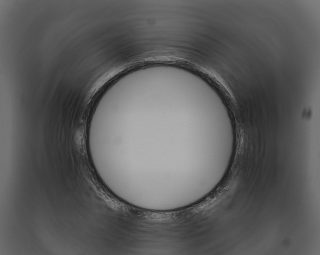 X0000091710874200708240954