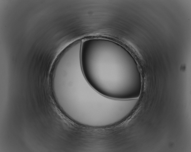 X0000091710876200708240954