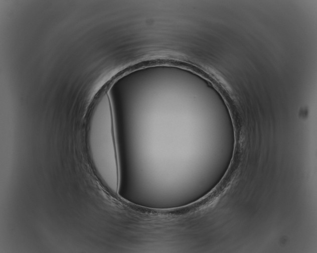 X0000091710877200708240954