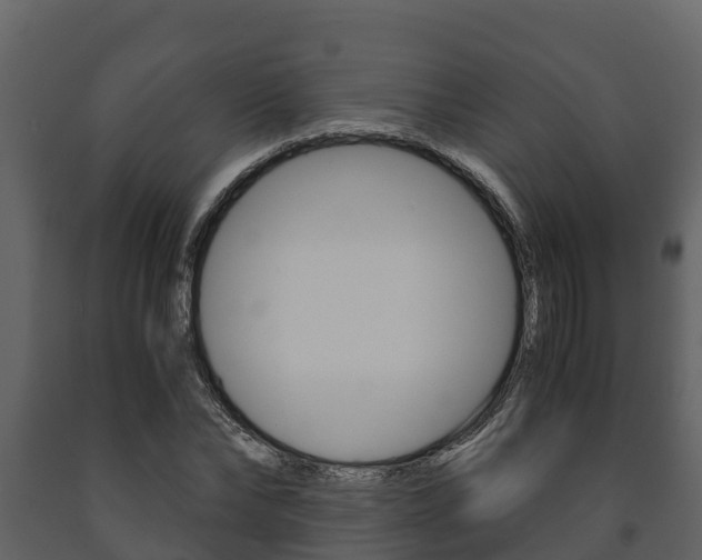 X0000091710878200708240954