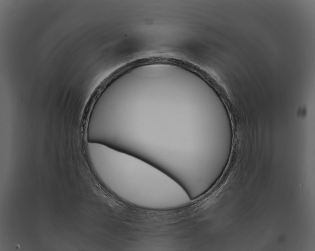 X0000091710879200708240954