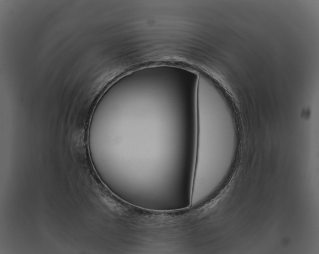 X0000091710881200708240954
