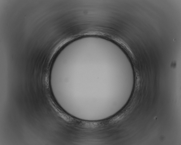 X0000091710882200708240954