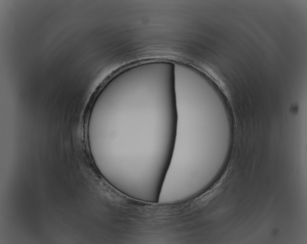 X0000091710883200708240954