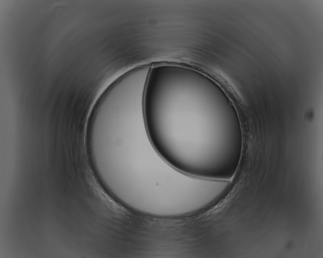 X0000091710884200708240954