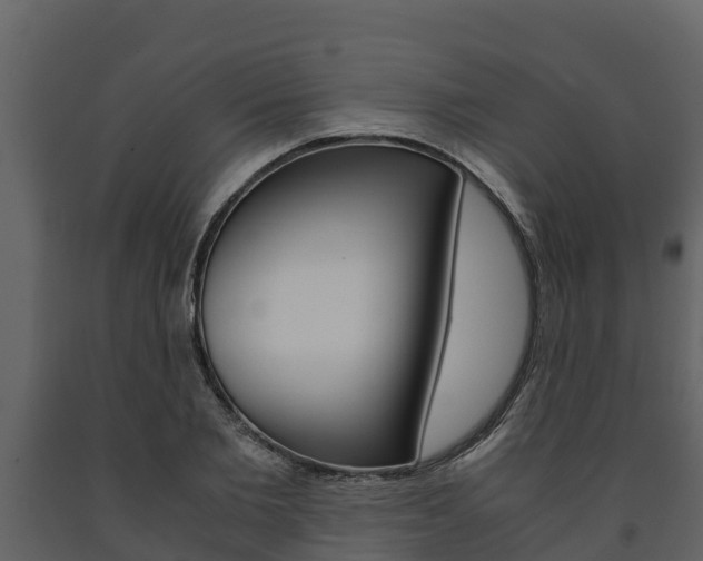 X0000091710885200708240954