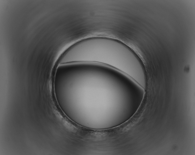 X0000091710888200708240954