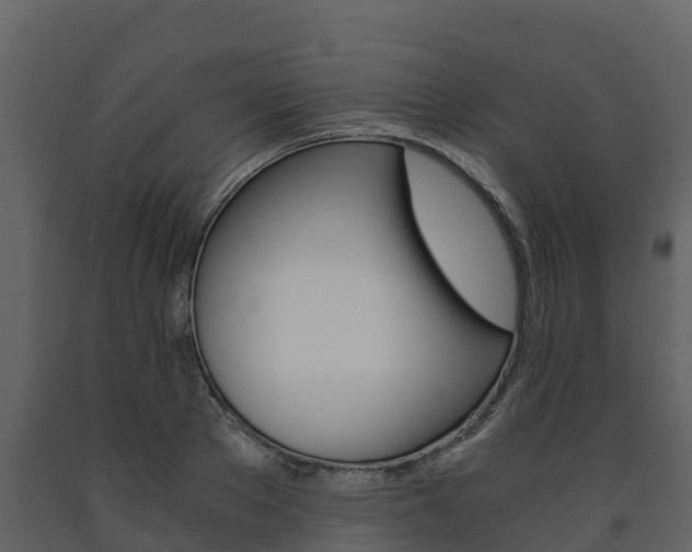 X0000091710889200708240954