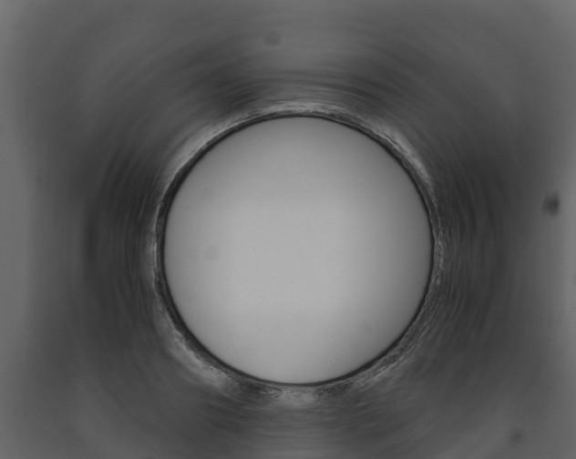 X0000091710890200708240954