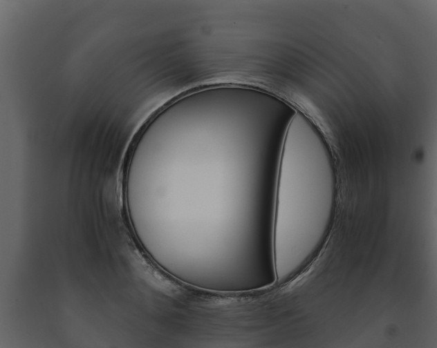 X0000091710892200708240954