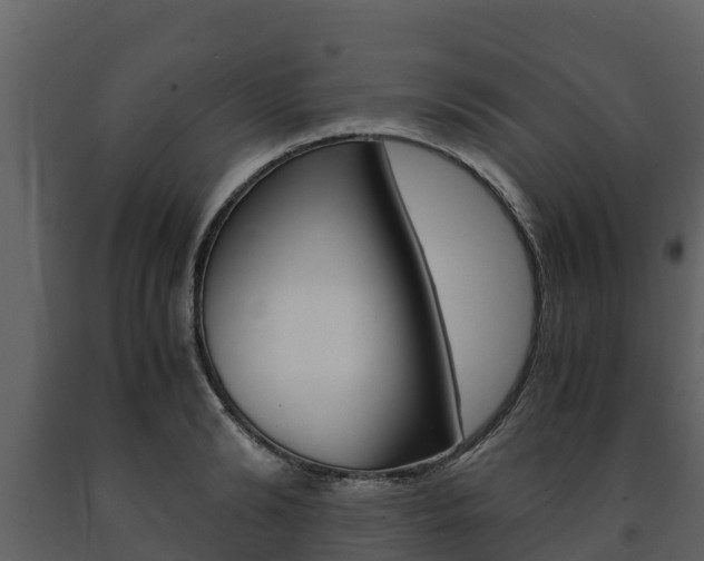 X0000091710894200708240954