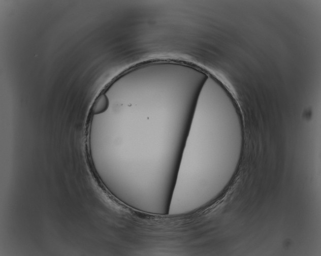 X0000091710895200708240954