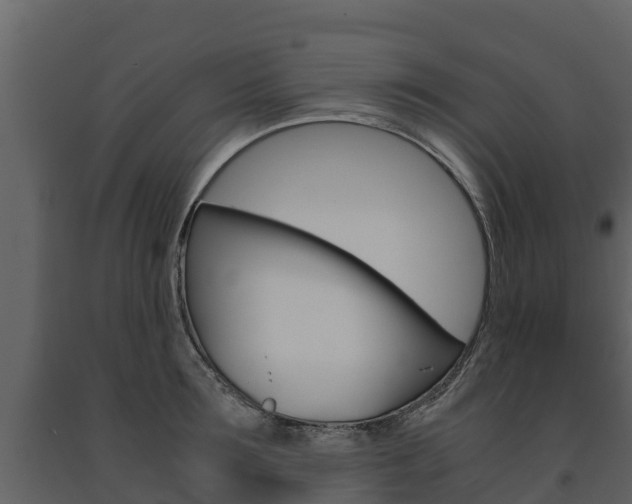 X0000091710899200708240954