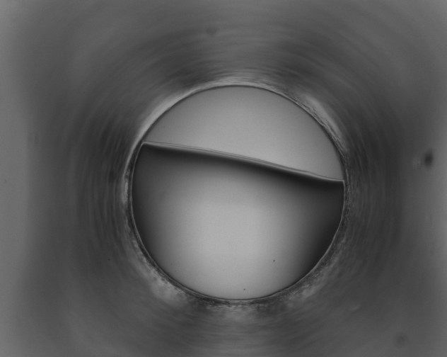 X0000091710900200708240954