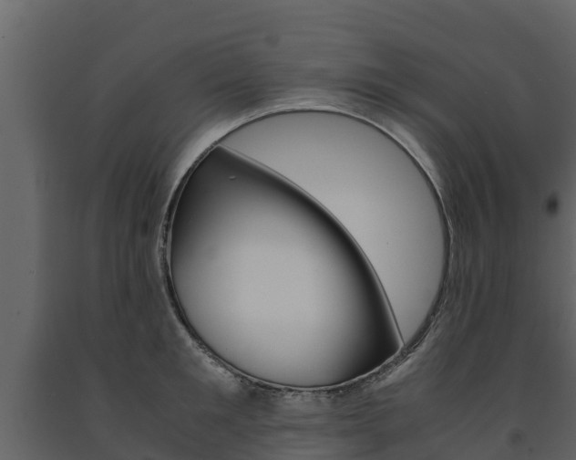 X0000091710901200708240954