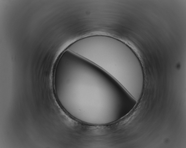 X0000091710902200708240954