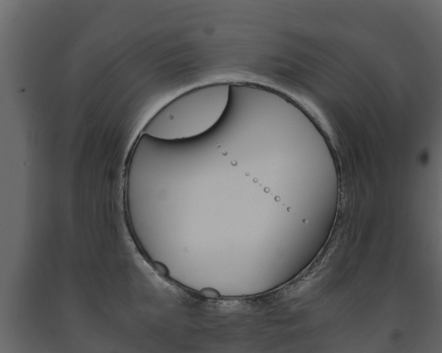 X0000091710903200708240954
