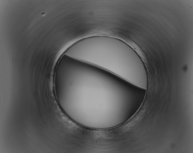 X0000091710904200708240954