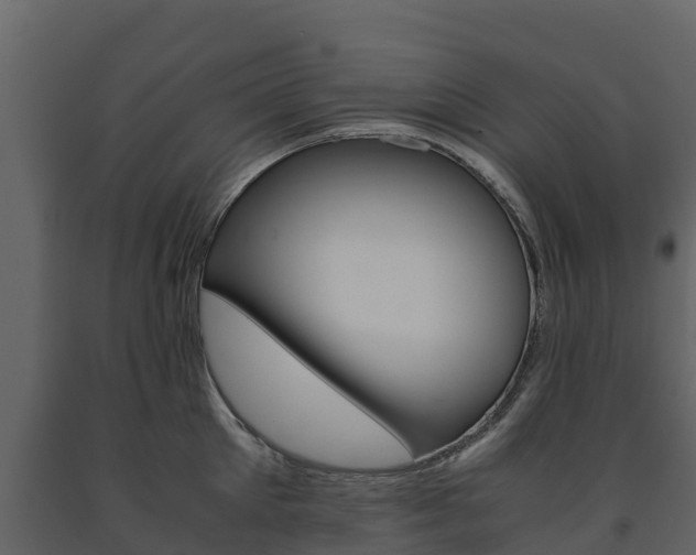 X0000091710905200708240954