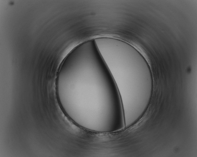 X0000091710906200708240954
