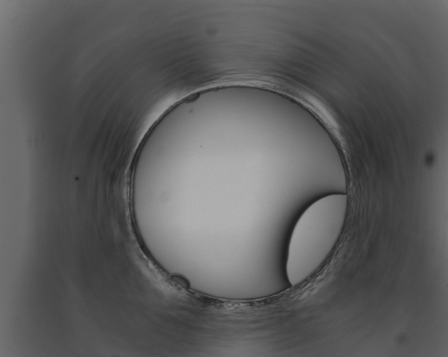 X0000091710907200708240954