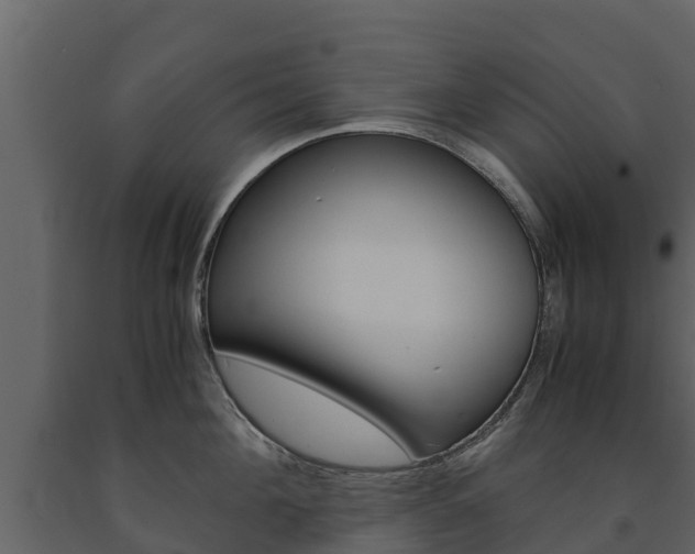 X0000091710908200708240953