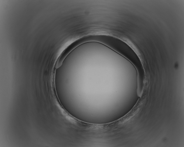 X0000091710909200708240953