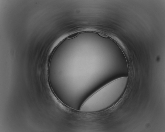X0000091710910200708240953