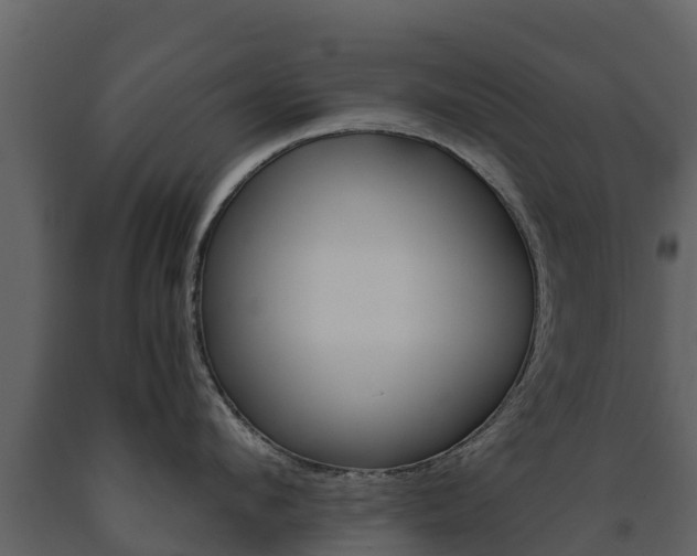 X0000091710912200708240953