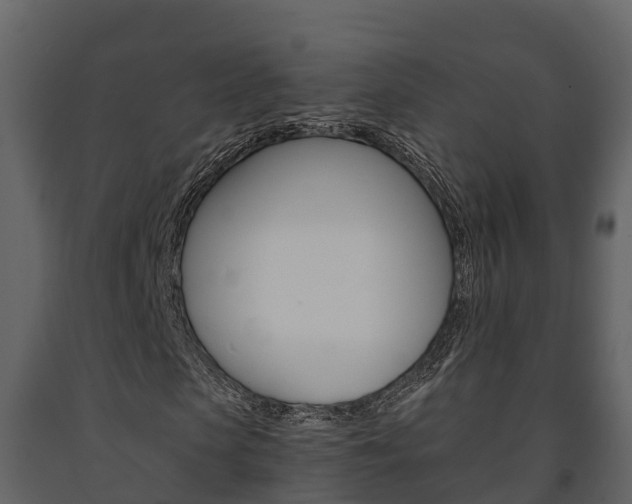 X0000091710913200708240953