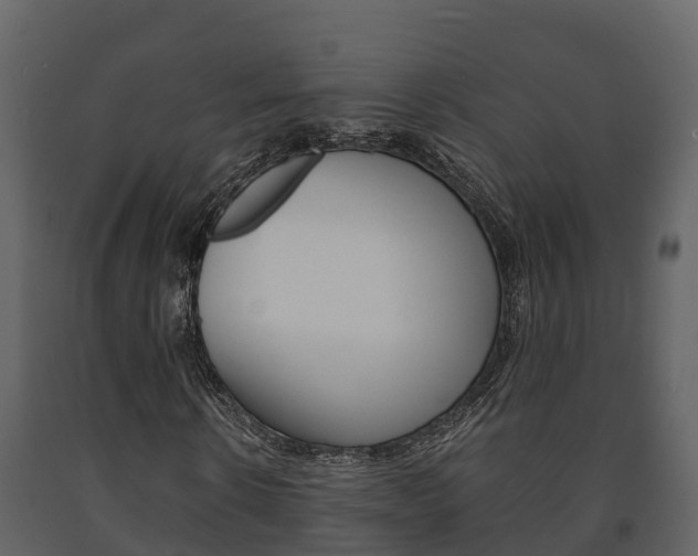 X0000091710914200708240953