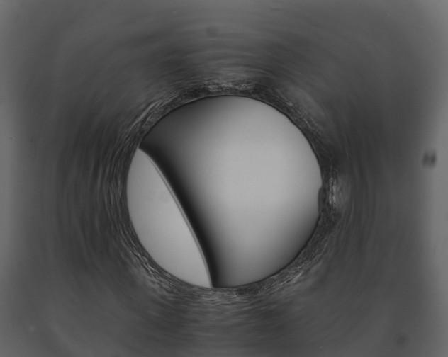 X0000091710915200708240953