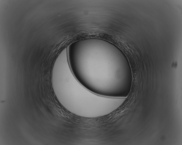 X0000091710916200708240953