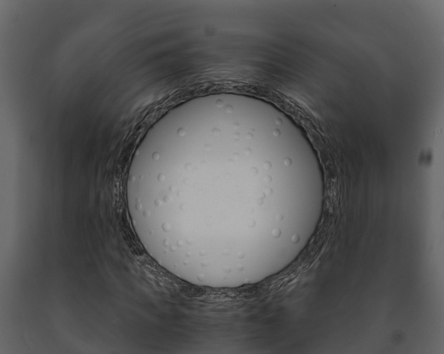X0000091710917200708240953