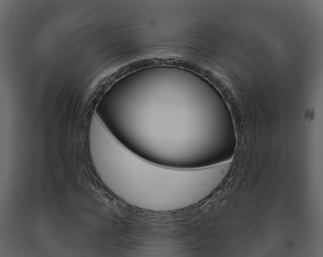 X0000091710920200708240953