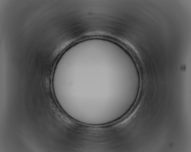 X0000091710921200708240953