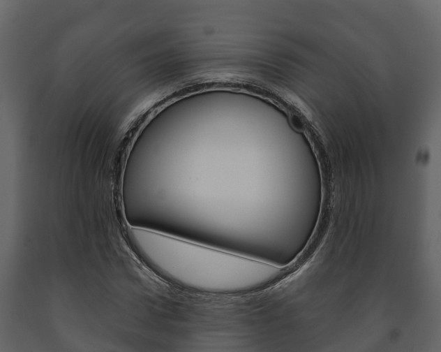 X0000091710922200708240953