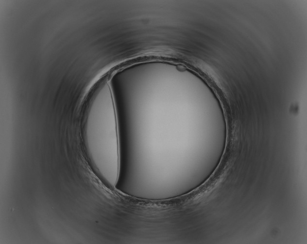 X0000091710923200708240953