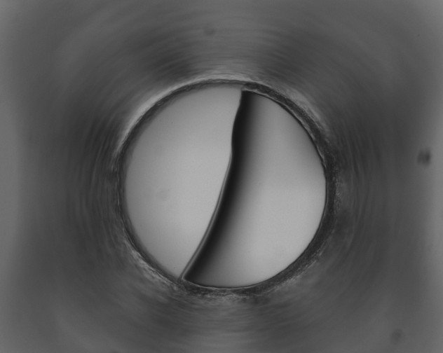 X0000091710926200708240953