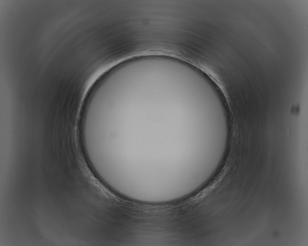 X0000091710928200708240953
