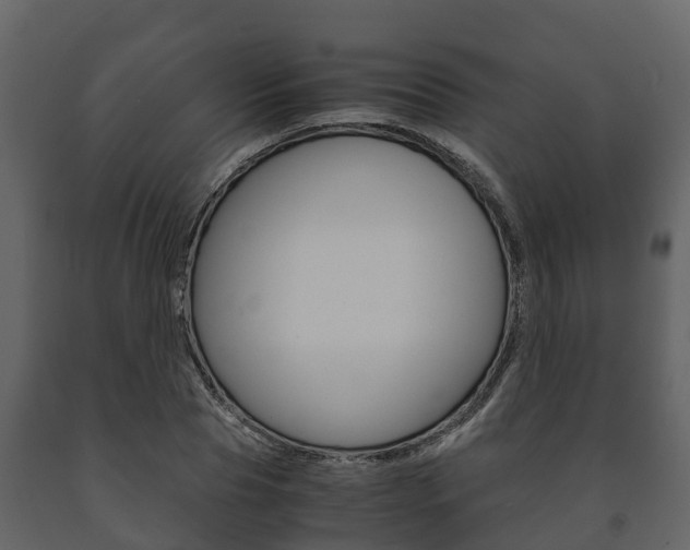 X0000091710929200708240953