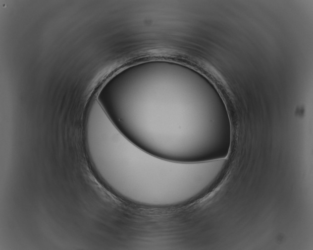 X0000091710930200708240953