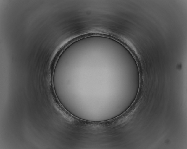 X0000091710931200708240953