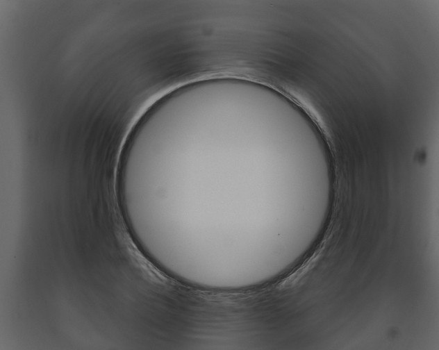 X0000091710932200708240953